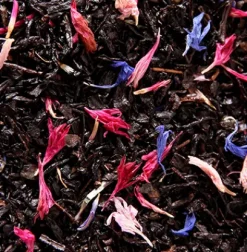 Coffrets De Thés|Thés Gourmands|Compagnie & Co Coffret Etoile d'Orient® 100g /Thé de Noël® 100g