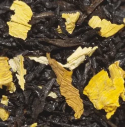 Thés Glacés|Thés Fruités|Compagnie & Co Fruit de la Passion