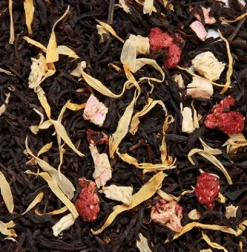 Thés Glacés|Thés Fruités|Compagnie & Co Jardin Gourmand