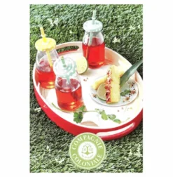 Thés Glacés|Thés Fruités|Compagnie & Co Les Thés Glacés GM - Thé Vert Menthe / Ronde Antillaise