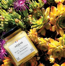 Épicerie|Compagnie & Co Miel Tilleul de France - Hédène