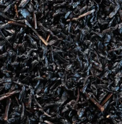 Thés Glacés|Thés Fruités|Compagnie & Co Pêche Abricotée