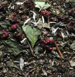 Thés Glacés|Thés Verts|Compagnie & Co Thé Anniversaire 170 ans