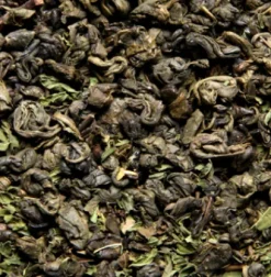 Thés Glacés|Thés Verts|Compagnie & Co Thés Glacés PM - Thé Vert Menthe